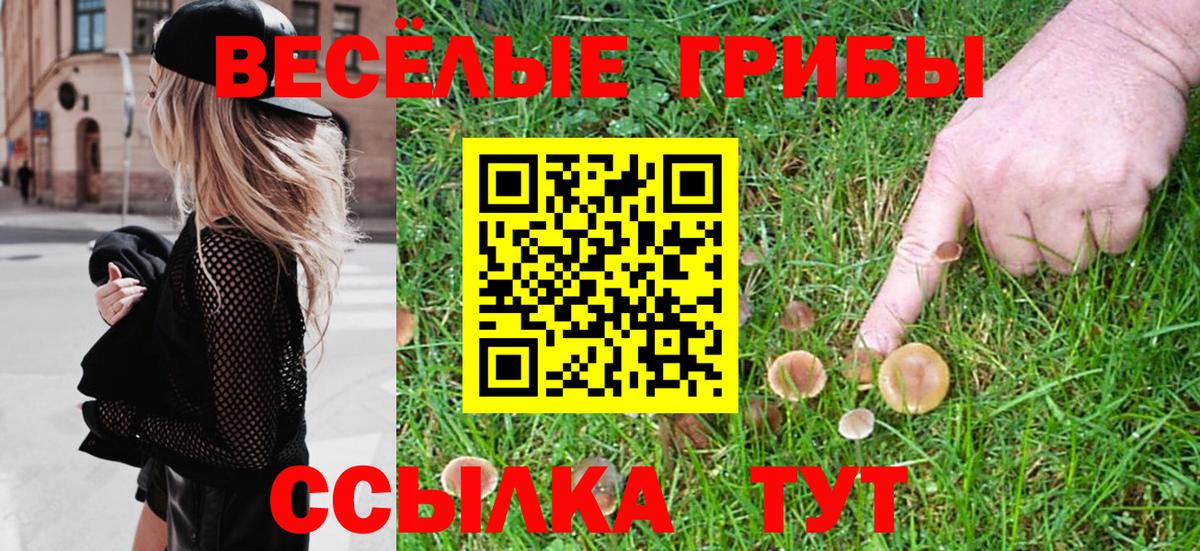 Псилоцибиновые грибы MAGIC MUSHROOMS  Вход с VPN  Новочеркасск  Псилоцибиновые грибы мухоморы 